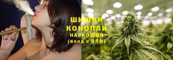 ГАЛЛЮЦИНОГЕННЫЕ ГРИБЫ Арсеньев