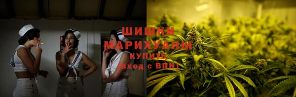 ГАЛЛЮЦИНОГЕННЫЕ ГРИБЫ Арсеньев