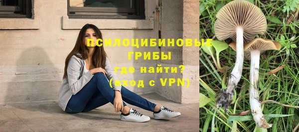 ГАЛЛЮЦИНОГЕННЫЕ ГРИБЫ Аркадак