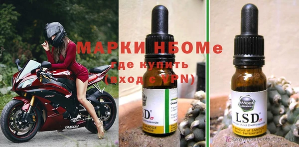 ГАЛЛЮЦИНОГЕННЫЕ ГРИБЫ Арсеньев