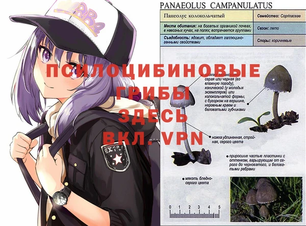 эйфоретик Беломорск