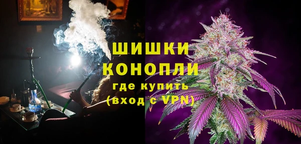 ГАЛЛЮЦИНОГЕННЫЕ ГРИБЫ Арсеньев