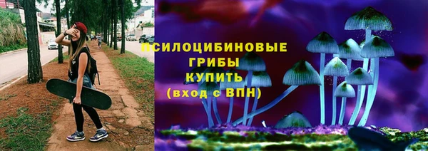 ГАЛЛЮЦИНОГЕННЫЕ ГРИБЫ Аркадак