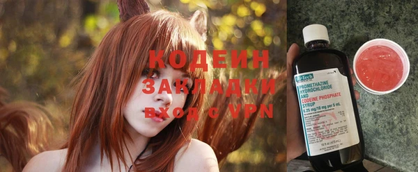 ГАЛЛЮЦИНОГЕННЫЕ ГРИБЫ Арсеньев