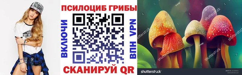 Купить закладки  Миньяр  Псилоцибиновые грибы MAGIC MUSHROOMS 
